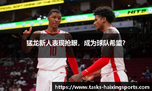猛龙新人表现抢眼,成为球队希望?
